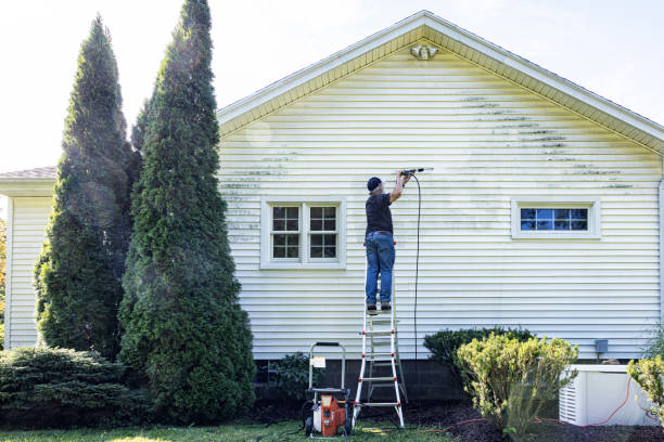 Professional Pressure Washing in Murphy, MO